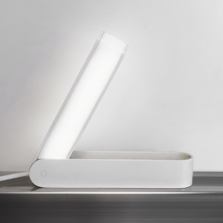 Antonio Virga - Folding Light